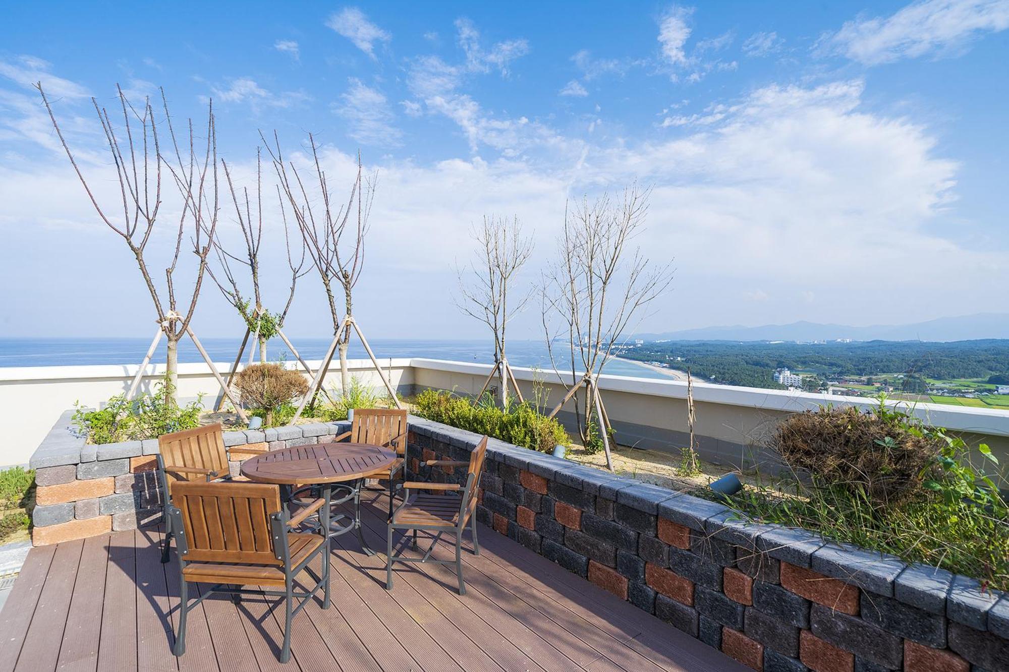 Gangneung Chonpines Ocean Suites Hotel المظهر الخارجي الصورة